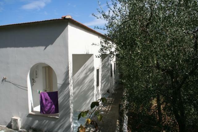 Апартаменты Casa Vacanze Pizzone Пескичи Экстерьер фото